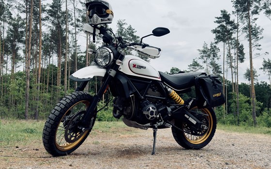 Gebrauchtmotorrad Ducati Scrambler Desert Sled - Bild 11