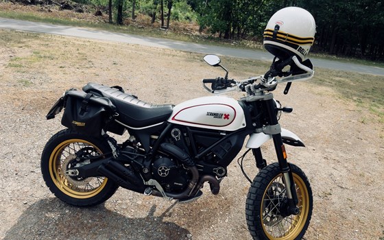 Gebrauchtmotorrad Ducati Scrambler Desert Sled - Bild 2