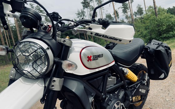 Gebrauchtmotorrad Ducati Scrambler Desert Sled - Bild 6