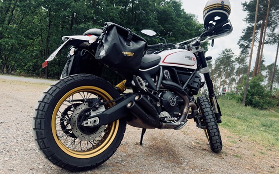 Gebrauchtmotorrad Ducati Scrambler Desert Sled - Bild 8