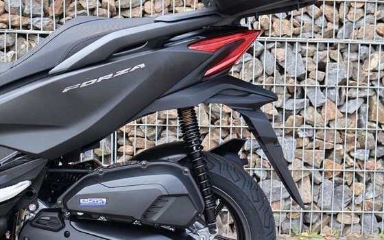 Gebrauchtmotorrad Honda Forza 125 - Bild 4