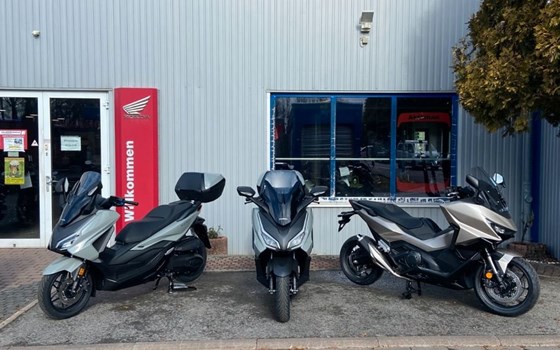 Gebrauchtmotorrad Honda Forza 125 - Bild 3