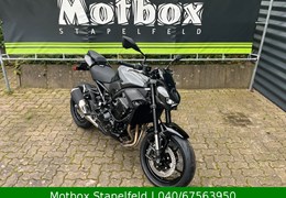 Neumotorrad Kawasaki Z900