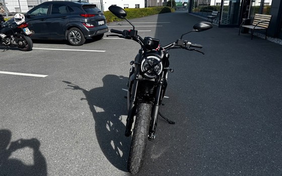 Gebrauchtmotorrad Ducati Scrambler Full Throttle - Bild 2