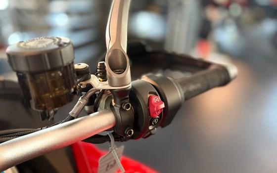 Gebrauchtmotorrad Ducati Multistrada V4 Pikes Peak - Bild 12
