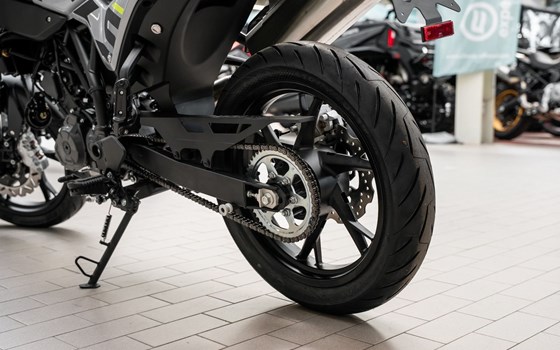 Neufahrzeug Benelli BKX 125 S - Bild 15