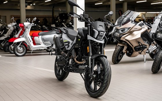 Neufahrzeug Benelli BKX 125 S - Bild 2