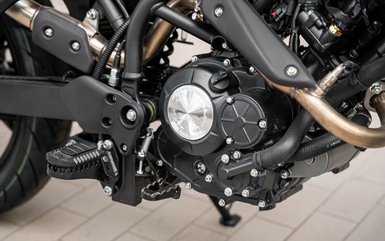 Neufahrzeug Benelli BKX 125 S - Bild 21