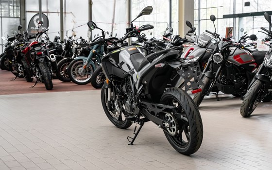 Neufahrzeug Benelli BKX 125 S - Bild 5