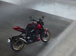 Angebot Triumph Trident 800