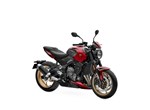 Angebot Triumph Trident 800