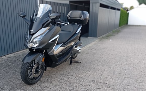 Gebrauchtmotorrad Honda Forza 350 - Bild 3