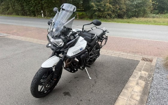 Gebrauchtmotorrad Triumph Tiger 800 XRx - Bild 5