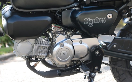 Gebrauchtmotorrad Honda Monkey 125 - Bild 4