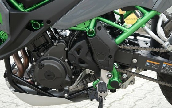 Gebrauchtmotorrad Kawasaki KLE500 SE - Bild 10