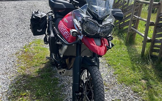 Gebrauchtmotorrad Triumph Tiger 800 XC - Bild 2