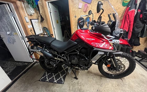 Gebrauchtmotorrad Triumph Tiger 800 XC - Bild 3
