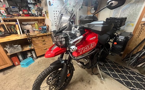 Gebrauchtmotorrad Triumph Tiger 800 XC - Bild 5