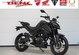 Neumotorrad Voge R125
