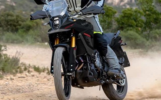 Neufahrzeug Suzuki V-Strom 800DE - Bild 2