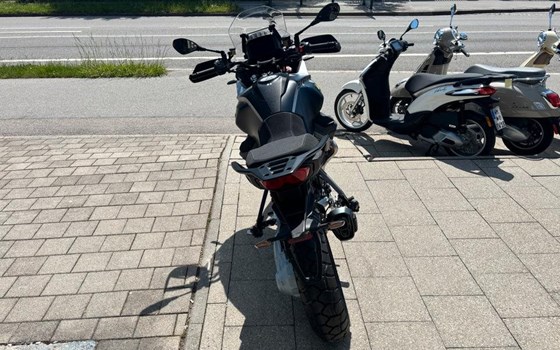 Neufahrzeug Moto Guzzi Stelvio - Bild 9