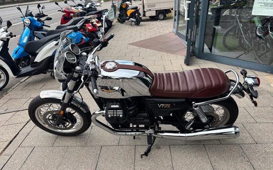 Gebrauchtmotorrad Moto Guzzi V7 III Anniversario - Bild 5