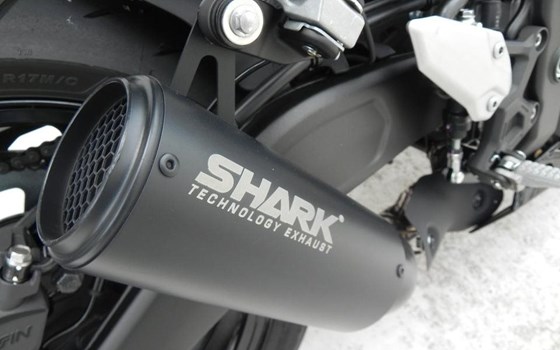Neufahrzeug Kawasaki Ninja ZX-4RR - Bild 15