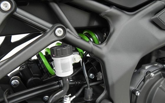 Neufahrzeug Kawasaki Ninja ZX-4RR - Bild 16