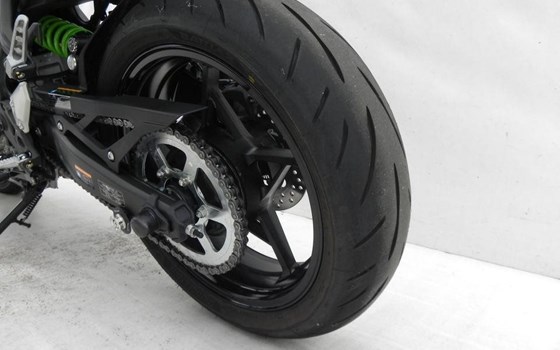 Neufahrzeug Kawasaki Ninja ZX-4RR - Bild 5