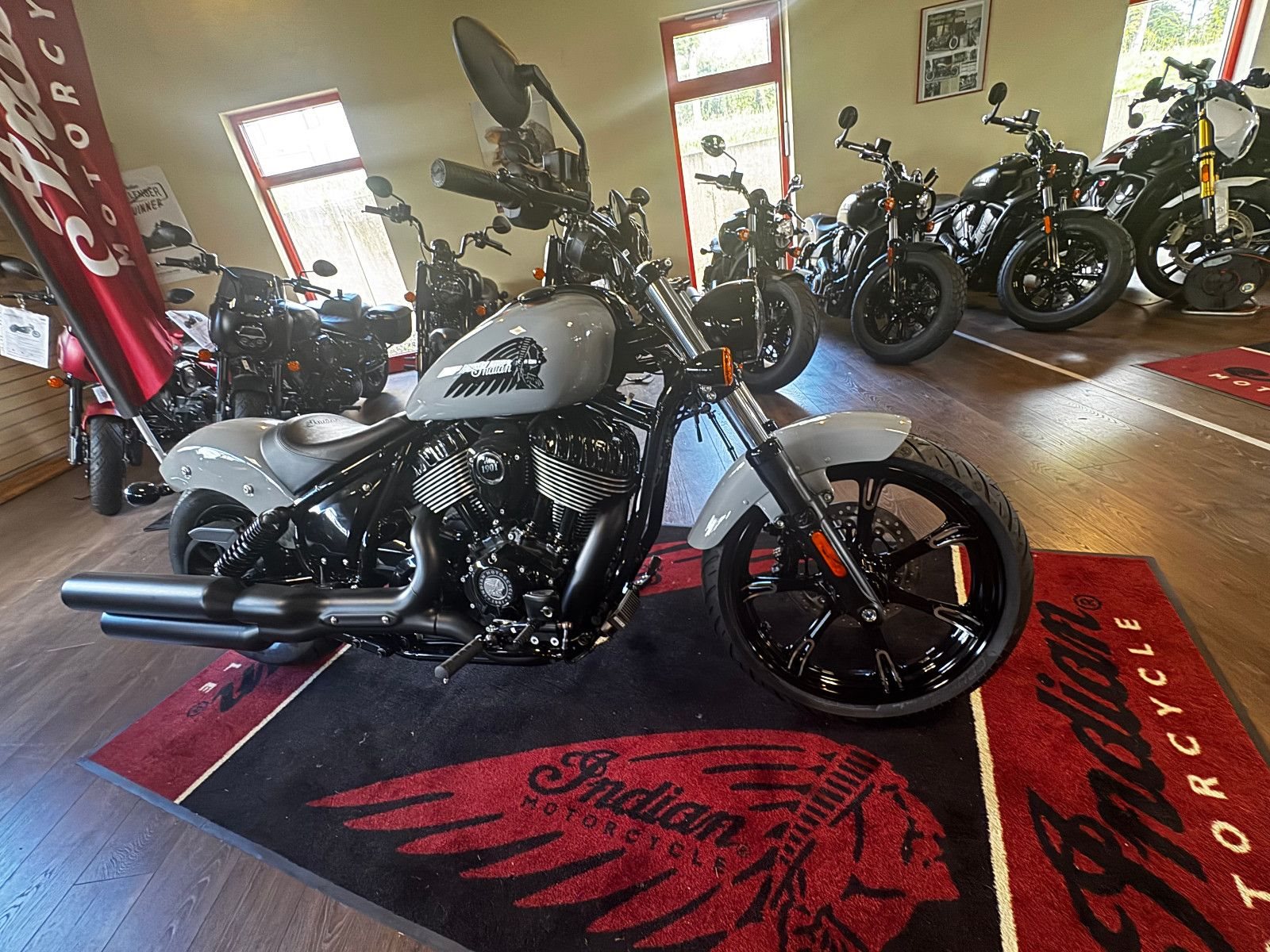 Indian Chief Dark Horse