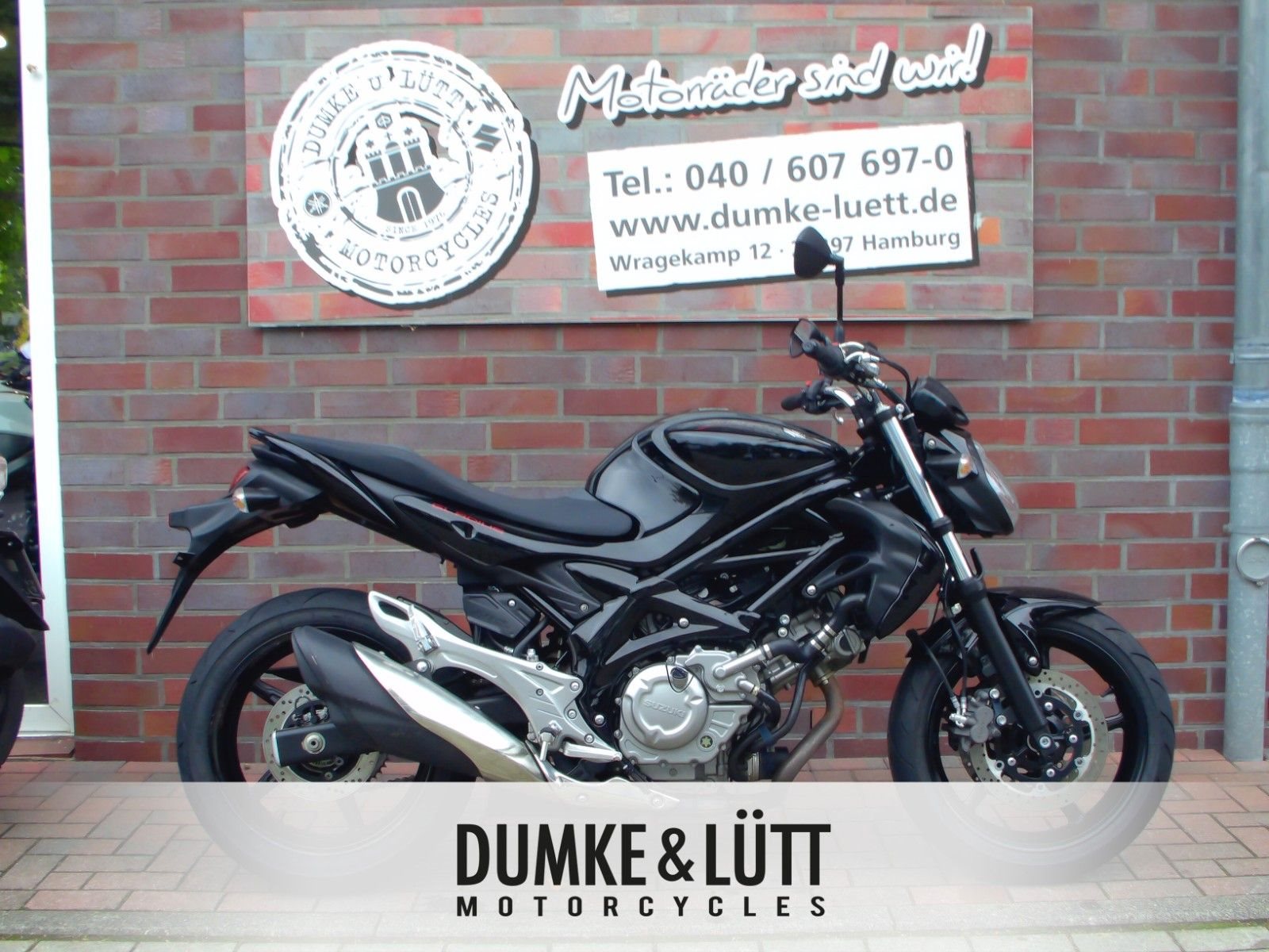 Suzuki SFV 650 Gladius