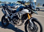 Angebot Triumph Tiger 900 Rally Pro