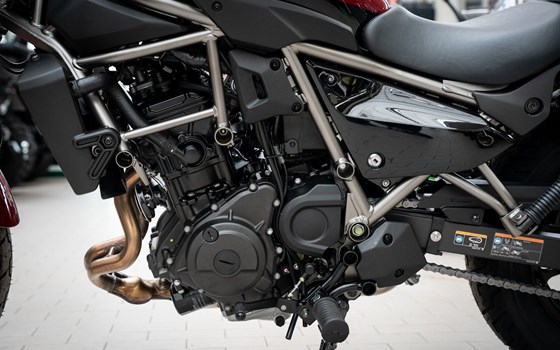 Neufahrzeug Kawasaki Eliminator 500 - Bild 13