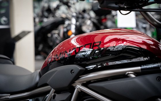 Neufahrzeug Kawasaki Eliminator 500 - Bild 19