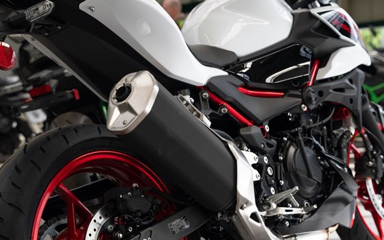 Neufahrzeug Kawasaki Z 500 SE - Bild 11