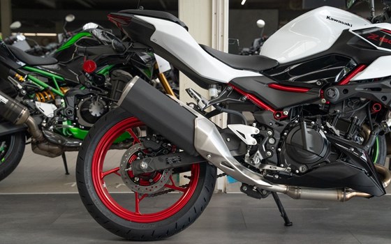 Neufahrzeug Kawasaki Z 500 SE - Bild 9