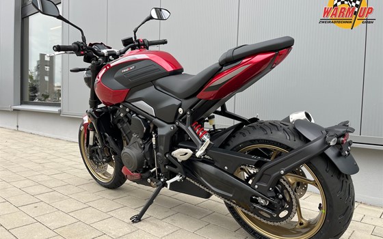 Neufahrzeug Triumph Trident 800 - Bild 12