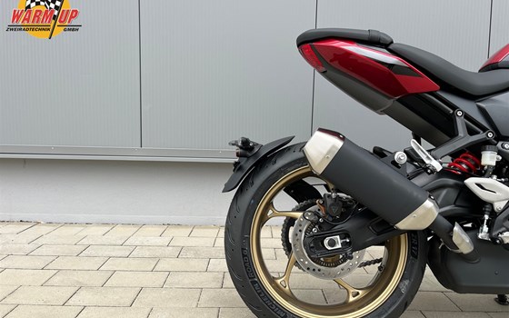 Neufahrzeug Triumph Trident 800 - Bild 4