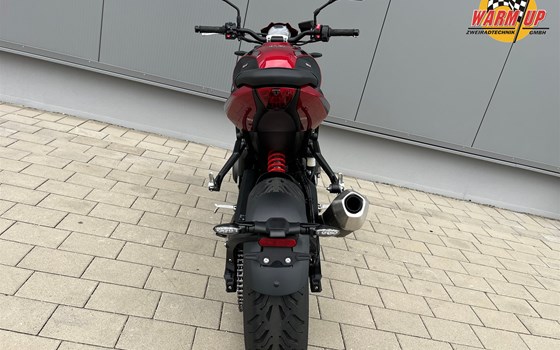 Neufahrzeug Triumph Trident 800 - Bild 6