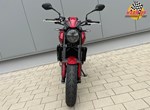 Angebot Triumph Trident 800