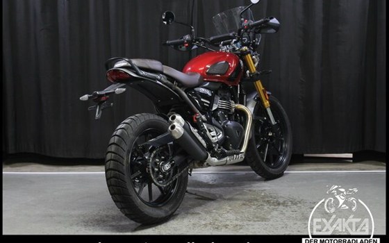 Gebrauchtmotorrad Triumph Scrambler 400 X - Bild 5