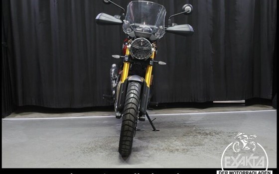 Gebrauchtmotorrad Triumph Scrambler 400 X - Bild 8