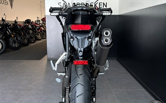 Gebrauchtmotorrad Triumph Tiger 900 Alpine Edition - Bild 3
