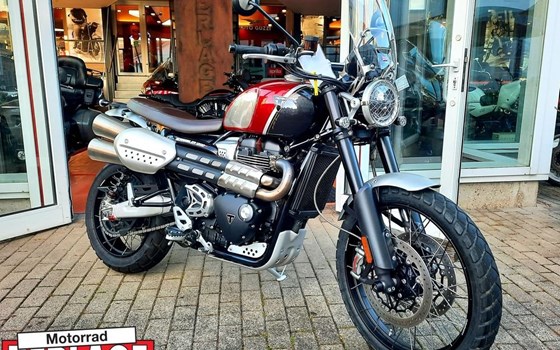 Gebrauchtmotorrad Triumph Scrambler 1200 XC - Bild 1
