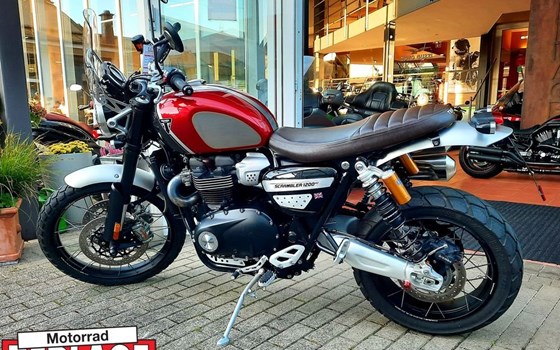Gebrauchtmotorrad Triumph Scrambler 1200 XC - Bild 3