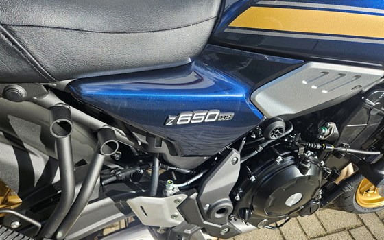 Neufahrzeug Kawasaki Z650 RS - Bild 4