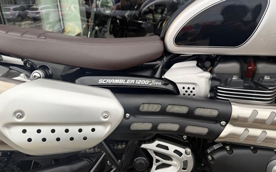 Gebrauchtmotorrad Triumph Scrambler 1200 X - Bild 5