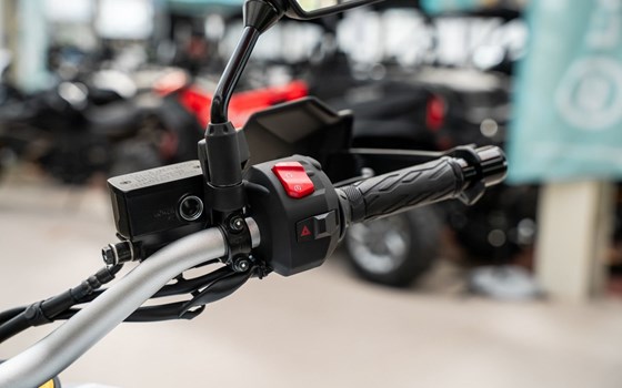 Neufahrzeug Suzuki V-Strom 800DE - Bild 10