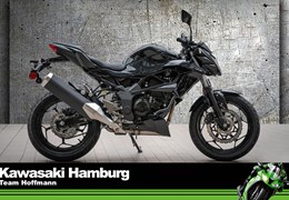 Neumotorrad Kawasaki Z125