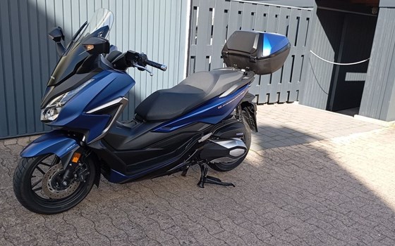 Gebrauchtmotorrad Honda Forza 350 - Bild 10